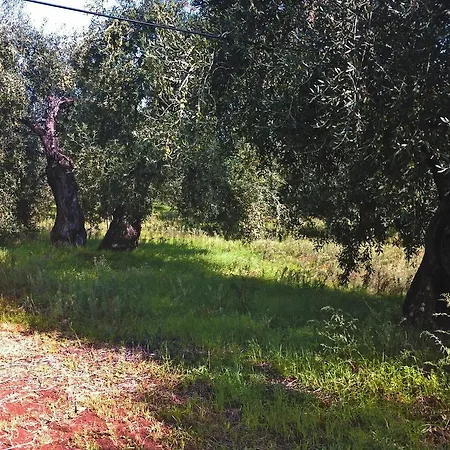 Alloggio per agriturismo Terre Di Traiano Montegrosso