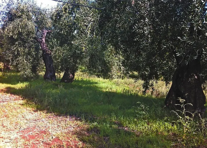 Фермерский дом Terre Di Traiano Montegrosso